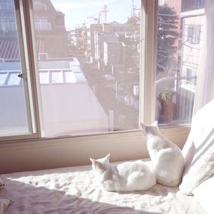 微拍视频网国产
